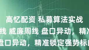 高忆配资 私募算法实战：CCI季线 威廉周线 盘口异动，精准锁定强势标的
