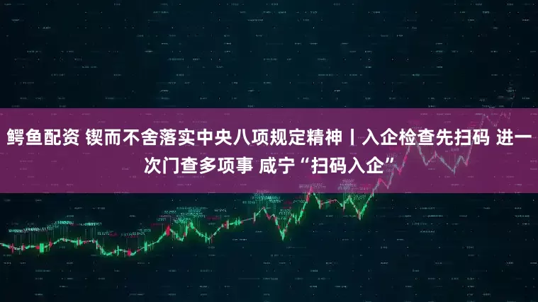 鳄鱼配资 锲而不舍落实中央八项规定精神丨入企检查先扫码 进一次门查多项事 咸宁“扫码入企”